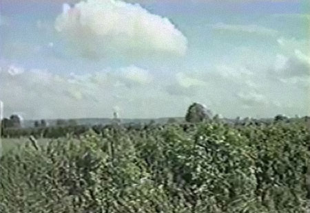 pbarrettscareclip01 