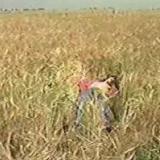 pbarrettscareclip06 