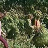 pbarrettscareclip13 