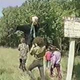 pbarrettscareclip20 