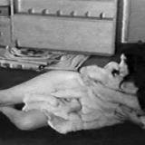 pbarrettufo36 