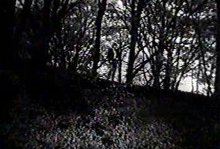 pwatersfilmscommittee06 