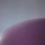 pwaterspigwings23 