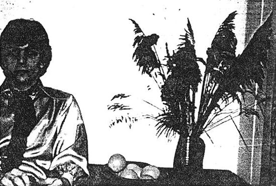 barrettdivers12 