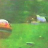 barretthomemovies11 