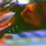 barretthomemovies12 