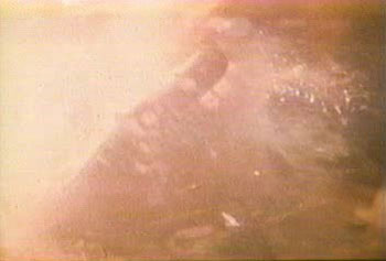 gilmourbeyondfloyd98 