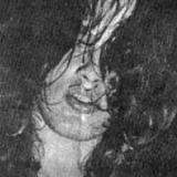 gilmourlive005 