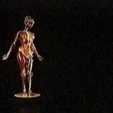 watersfilmsthebody03 