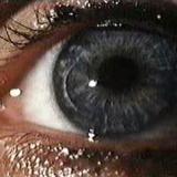 watersfilmsthebody15 