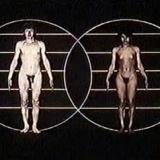 watersfilmsthebody23 