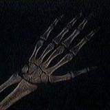 watersfilmsthebody24 