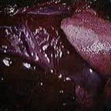 watersfilmsthebody31 
