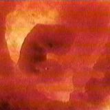 watersfilmsthebody35 