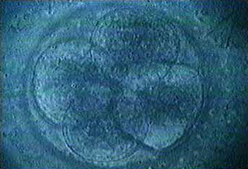 watersfilmsthebody08 