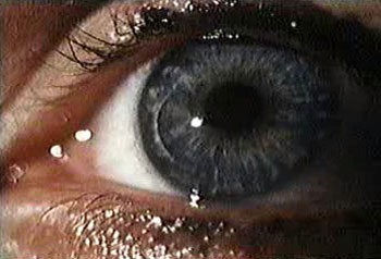 watersfilmsthebody15 