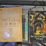 interstellar027 Livres ayant servit d'inspiration pour le groupe : 
 - Mythologie chinoise I-Ching, Stephan Karcher, Time Warner, 2002
 - The Gormenghast trilogy, Mervin Peake, Arrow, 1997 