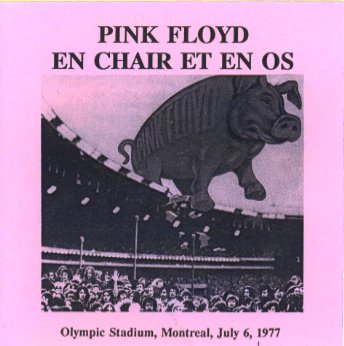 pinkpigs10 