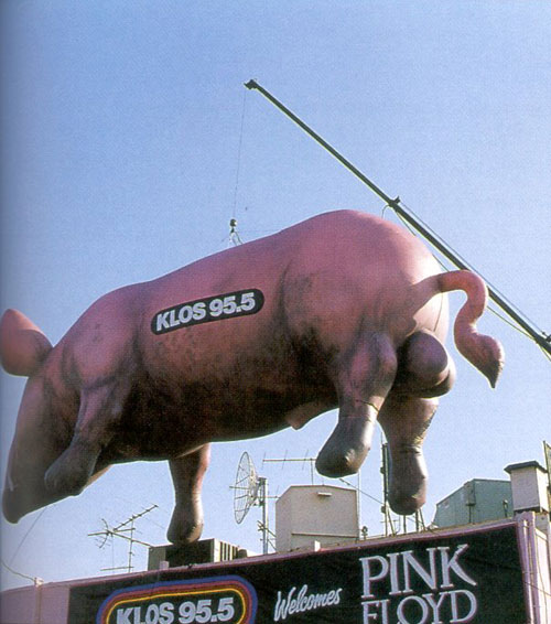 pinkpigs22 