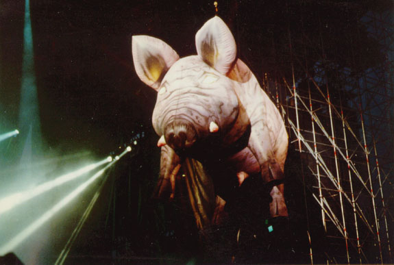 pinkpigs25 