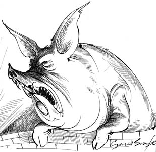pinkpigs29 