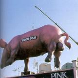 pinkpigs22 